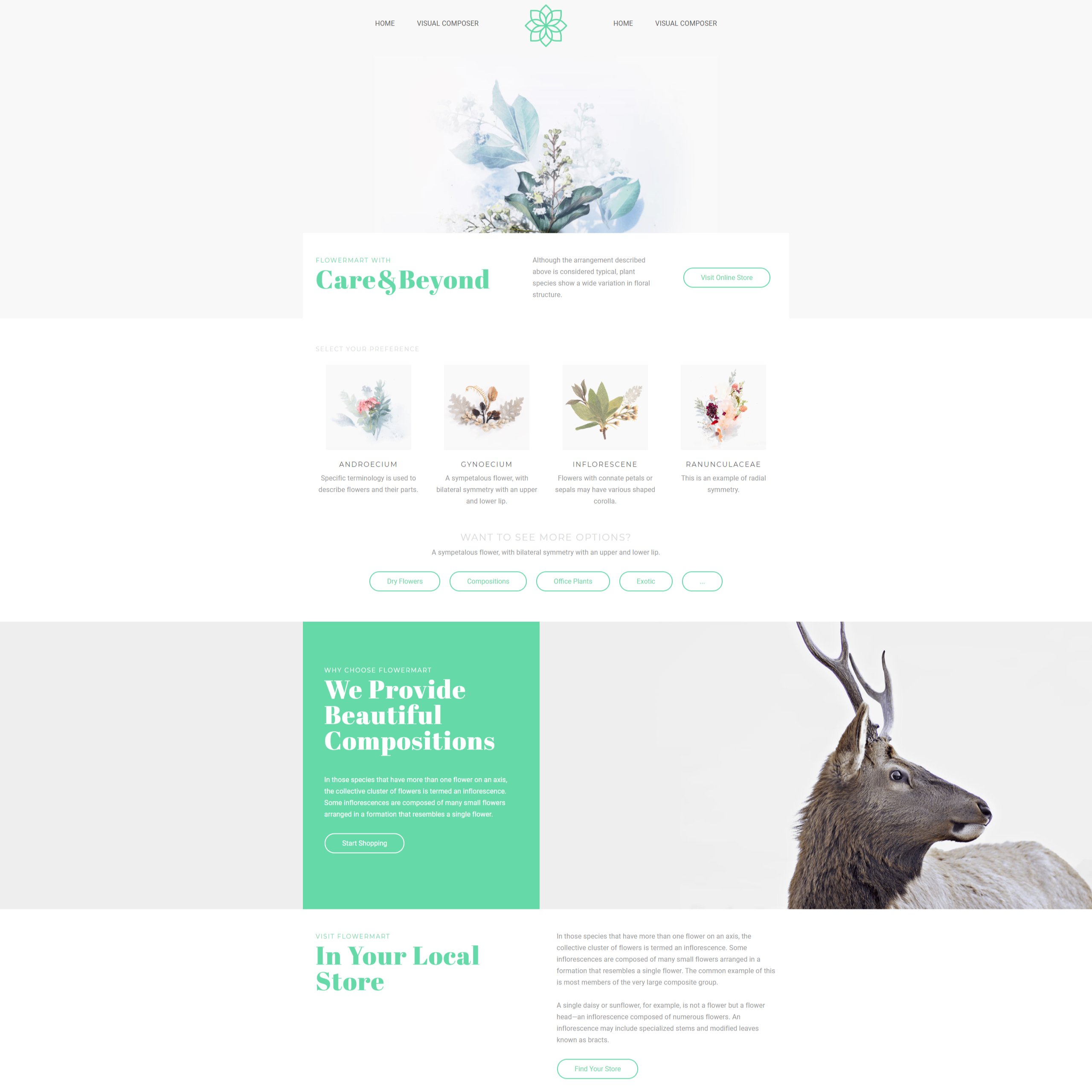 Shop Landing Page